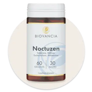 Noctuzen